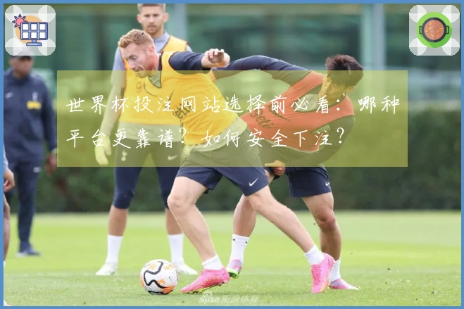 世界杯投注网站选择前必看：哪种平台更靠谱？如何安全下注？