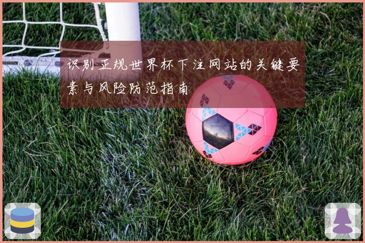 识别正规世界杯下注网站的关键要素与风险防范指南