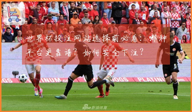 世界杯投注网站选择前必看：哪种平台更靠谱？如何安全下注？